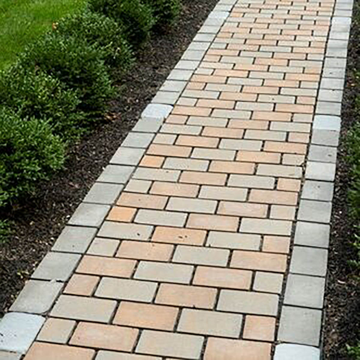 Sailor Border Pattern » Accurate Pavers